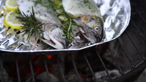 Preparing trout on the grill Stock Footage 164467348