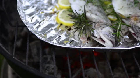 Preparing trout on the grill Stock Footage 164467549