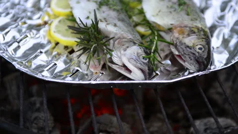 Preparing trout on the grill Stock Footage 164467565