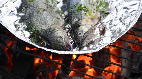 Preparing trout on the grill Stock Footage 164475734