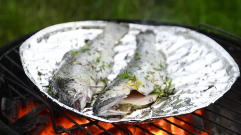 Preparing trout on the grill Stock Footage 164475764