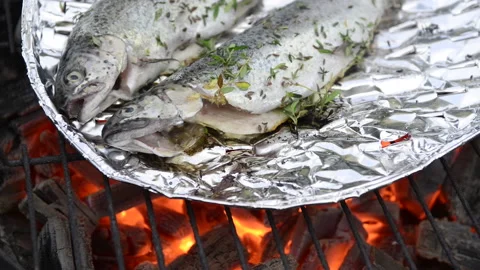 Preparing trout on the grill Stock Footage 164476217