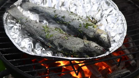 Preparing trout on the grill Stock Footage 164476310