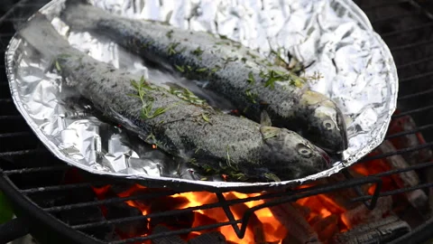 Preparing trout on the grill Stock Footage 164476637