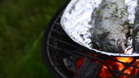 Preparing trout on the grill Stock Footage 164476805