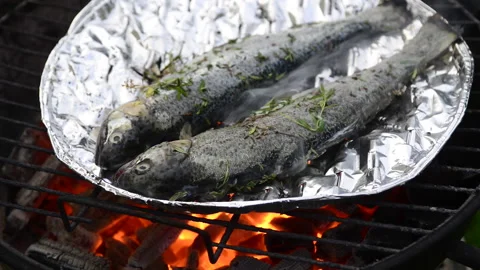 Preparing trout on the grill Stock Footage 164477073