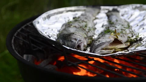 Preparing trout on the grill Stock Footage 164477171