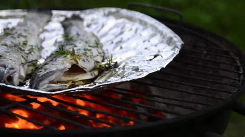 Preparing trout on the grill Stock Footage 164477296