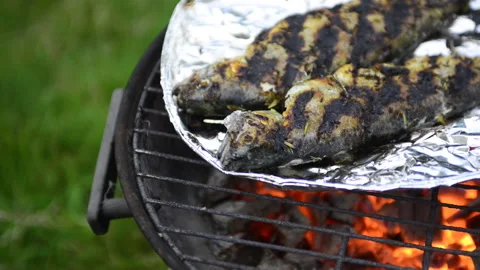 Preparing trout on the grill Stock Footage 164477761