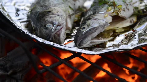 Preparing trout on the grill Stock Footage 164477817