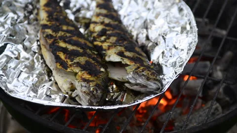Preparing trout on the grill Stock Footage 164477841