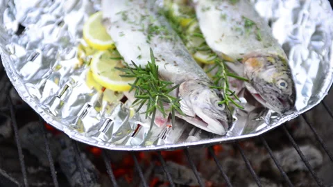 Preparing trout on the grill Stock Footage 164479855