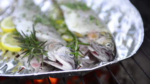 Preparing trout on the grill 스톡 동영상 164480109