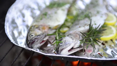 Preparing trout on the grill 스톡 동영상 164480239