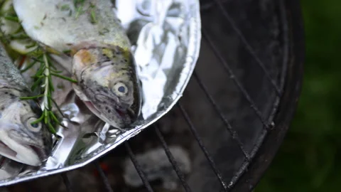 Preparing trout on the grill 스톡 동영상 164480445