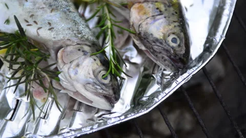Preparing trout on the grill 스톡 동영상 164480502