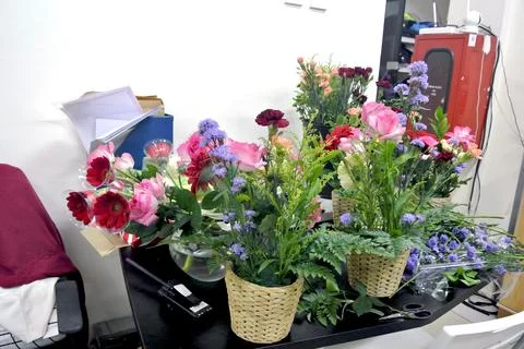 Preparing various flowers on the pot Stock Photos