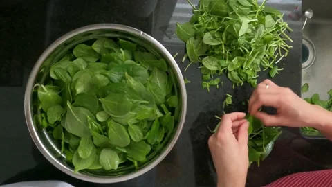Preparing vegatable Stock Footage 148884255