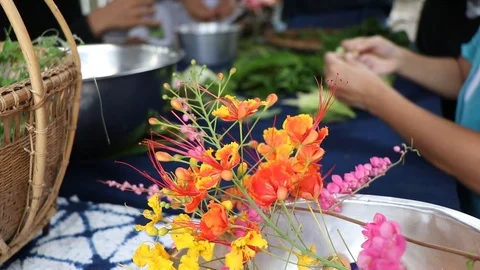 Preparing vegetables and ingredients for dinner. Stock-Footage 97001690