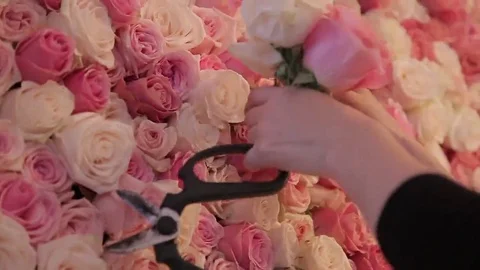 Preparing Wall from the Flowers of the roses Video stock 69261924