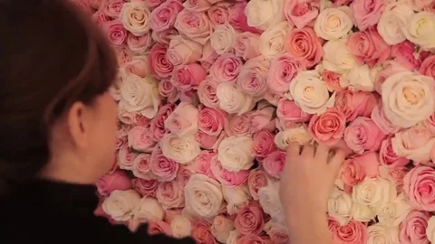 Preparing Wall from the Flowers of the roses Stock Footage 69261925