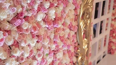 Preparing Wall from the Flowers of the roses Vídeos de archivo 69261948