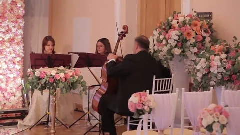 Preparing Wall from the Flowers of the roses Видео 69262202