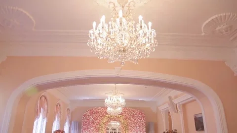 Preparing Wall from the Flowers of the roses Stock Footage 69262214