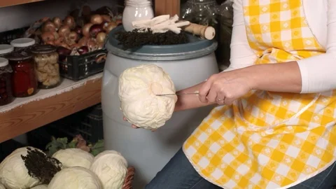 Preparing whole sour or pickled cabbage Video stock 69990702