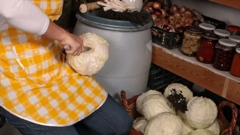 Preparing whole sour or pickled cabbage Video stock 72416003