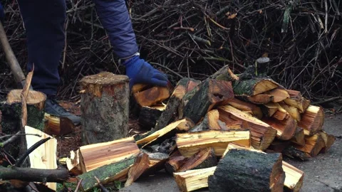 Preparing for winter chopping stumps for firewood to heat the house Stock Footage 327389876