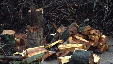 Preparing for winter chopping stumps for firewood to heat the house Stock Footage 327389975