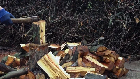 Preparing for winter chopping stumps for firewood to heat the house Stock Footage 327390043