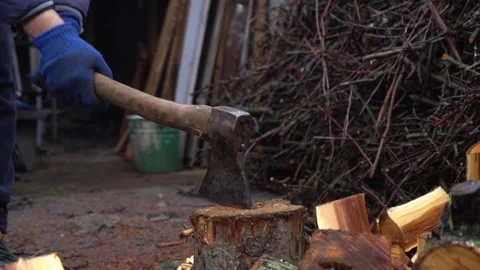 Preparing for winter chopping stumps for firewood to heat the house Stock Footage 327390095