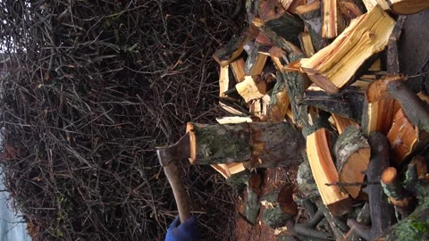 Preparing for winter chopping stumps for firewood to heat the house Video stock 327390104