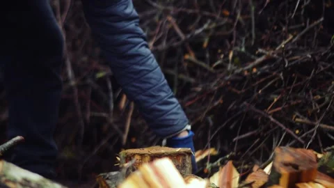 Preparing for winter chopping stumps for firewood to heat the house Stock-Footage 327391008