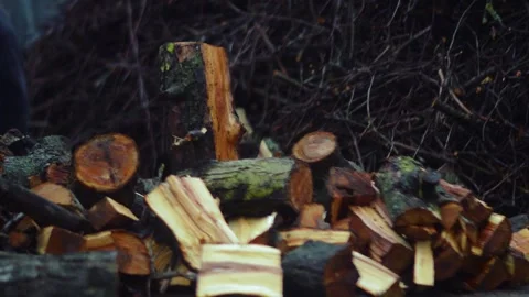 Preparing for winter chopping stumps for firewood to heat the house Stock-Footage 327391082