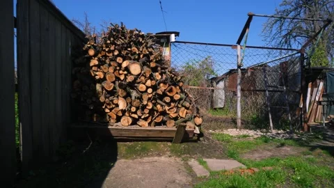 Preparing for winter stacking Stock Footage 334050715