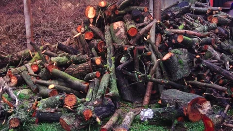 Preparing for winter stacking stumps for firewood for heating the house Stock Footage 327390376