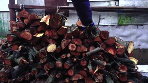 Preparing for winter stacking stumps for firewood for heating the house Stock-Footage 327390971