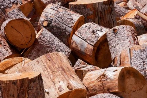 Preparing the winter time Stock Photos