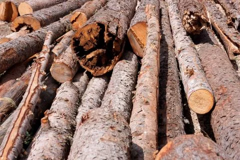 Preparing the winter time Stock Photos