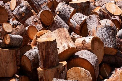 Preparing the winter time Stock Photos