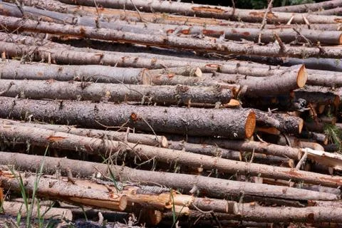 Preparing the winter time Stock Photos