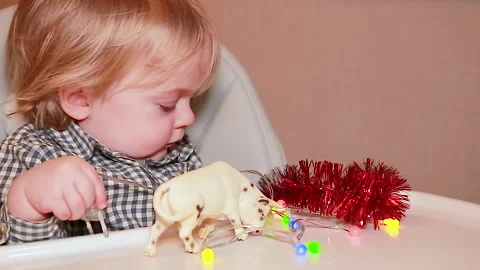 Preparing for the year of the bull Stock Footage 144867496