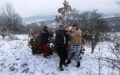 Preparing the yule log in Svrljig, Serbia - 06 Jan 2019 Stock Photos