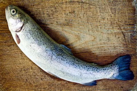 Prepering trout fish Stock Photos