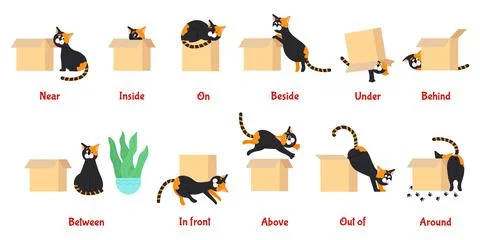 Preposition. Learning english prepositions with cute cat. Preschool educational Stock Illustration