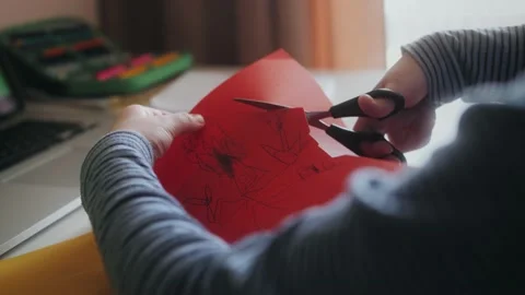 Preschool child development at home with online tutor. Homemade crafts concept. Stock Footage 152835053