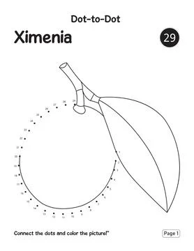 Preschool Learning Activity Puzzle Page Featuring Ximenia Connect Dots Outlin Stock Illustration